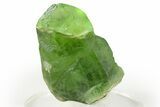 Large Green Peridot Crystal with Ludwigite Inclusions - Pakistan #266975-1